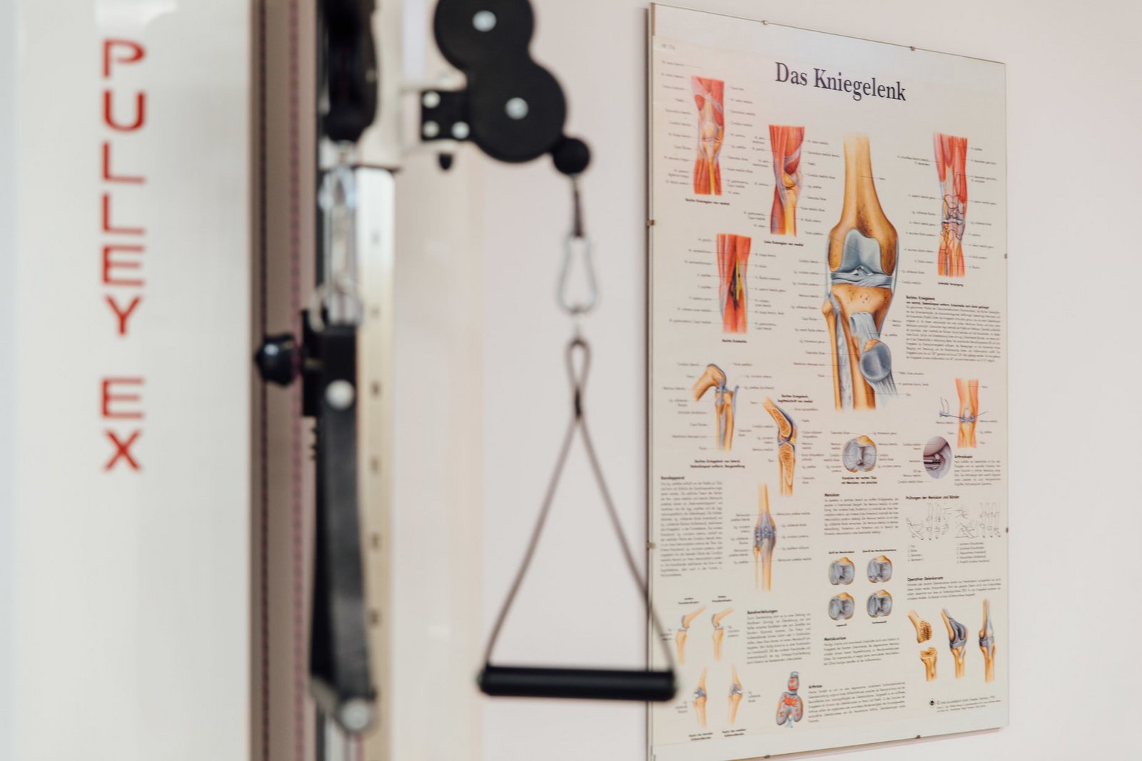Ausbildung Physiotherapie