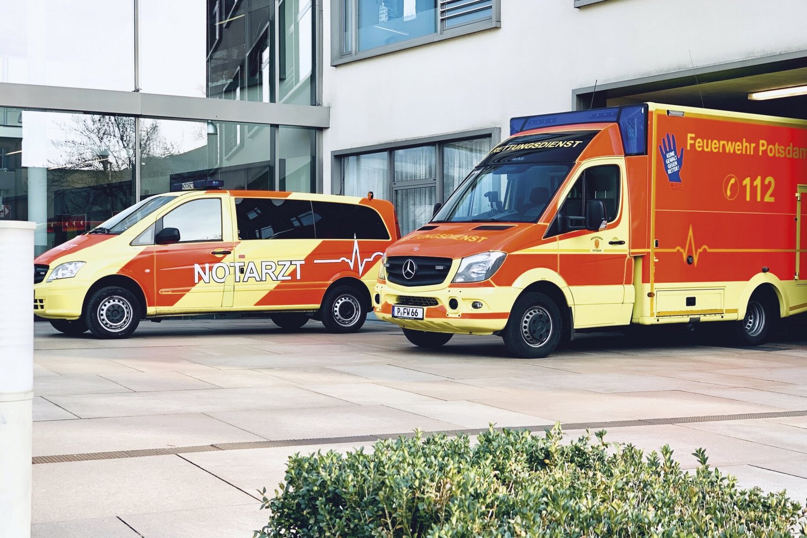 Notfallmedizinische Diagnostik und Therapie Notfallmedizinische Diagnostik und Therapie