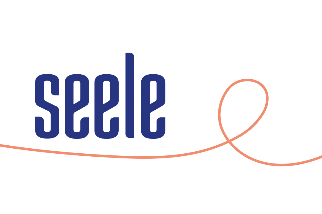 Projektinfo SEELE