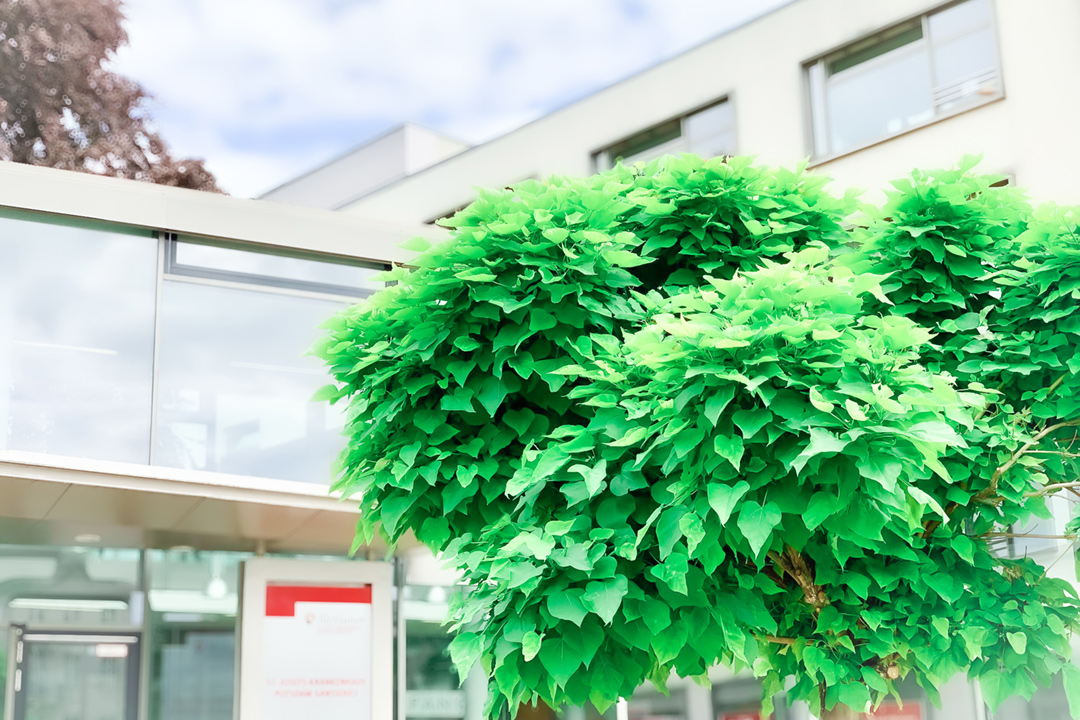 Verein der Freunde und Förderer des St. Josefs-Krankenhauses Potsdam-Sanssouci e. V.